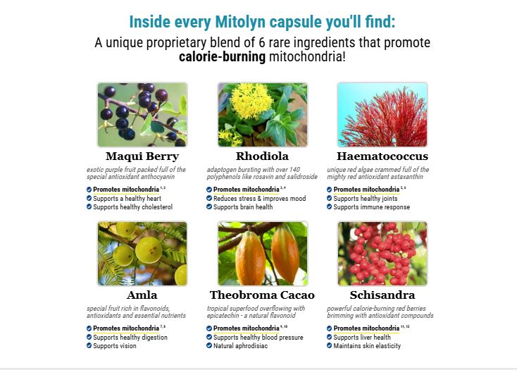 Mitolyn Reviews 2025